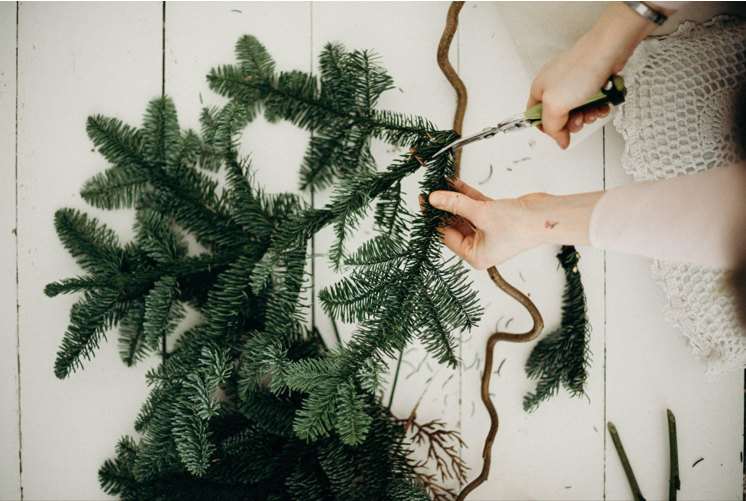 The Joy of Christmas Trees with Lights