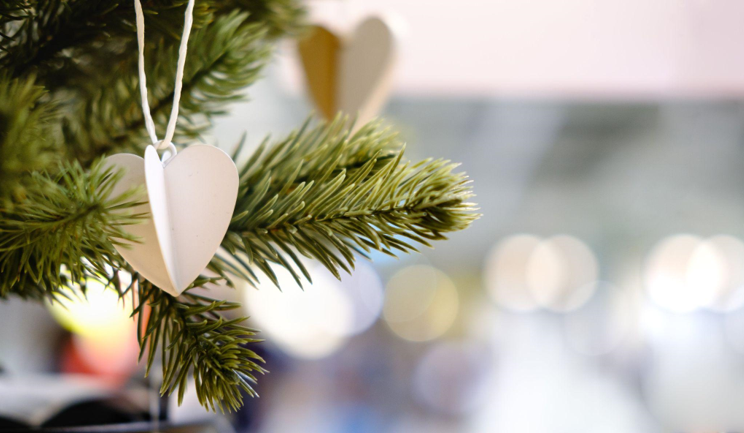 Find the Perfect Christmas Tree for Sale This Holiday